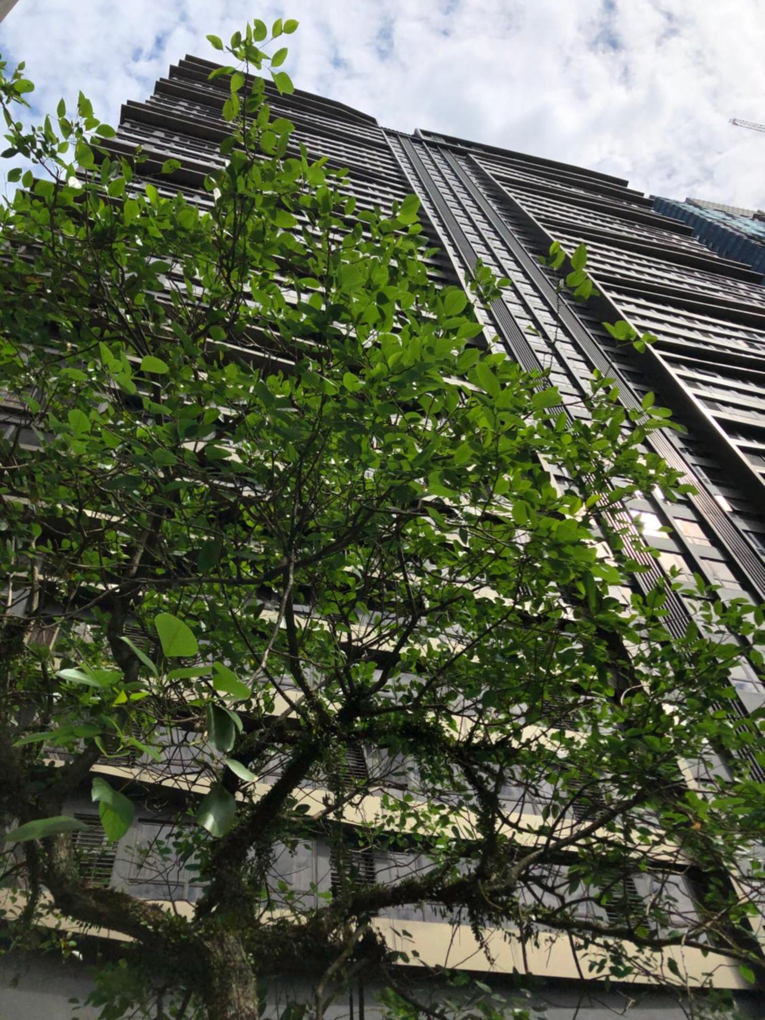 8 Kia Peng Suites Klcc By Luna Kuala Lumpur Kültér fotó